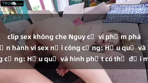 clip sex không che Nguy cơ vi phạm pháp luật khi thực hiện hành vi sex nơi công cộng: Hậu quả và hình phạt có thể đối mặt