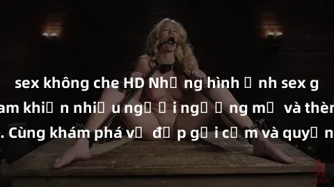 sex không che HD Những hình ảnh sex gái sinh viên Việt Nam khiến nhiều người ngưỡng mộ và thèm khát. Cùng khám phá vẻ đẹp gợi cảm và quyến rũ của những cô gái trẻ này.